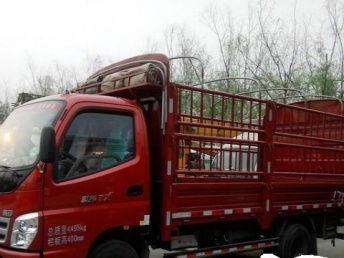 图 成都租车,大小面包车搬家,拉货,旅游,包车 成都租车